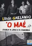Copertina libro 9788856620627