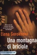 Copertina libro 9788856629002