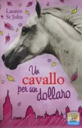 Copertina libro 9788856629279