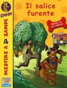 Copertina libro 9788856629668