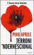 Copertina libro <b>Terroni 'ndernescional</b>
