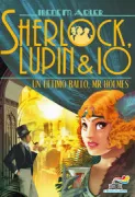 Copertina libro <b>Un ultimo ballo, Mr Holmes<br></b>(titolo originale o altro titolo: <i>Un ultimo ballo, Mr. Holmes</i>)