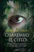 Copertina libro <b>Guardavo il cielo</b>