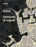 Copertina libro 9788856903591
