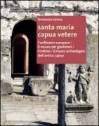 Copertina libro 9788856903782