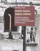 Copertina libro 9788856904505