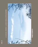 Copertina libro 9788856904741