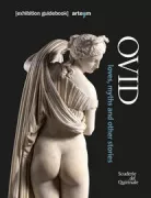 Copertina libro 9788856906554