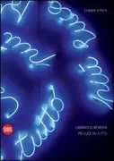 Copertina libro <b>Dynys</b>