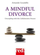 Copertina libro A MINDFUL DIVORCE (INGLESE) POD