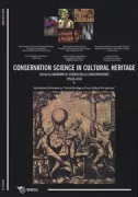 Copertina libro 9788857541228