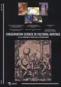 Copertina libro 9788857555645