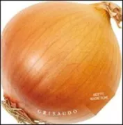 Copertina libro <b>Cipolla</b>