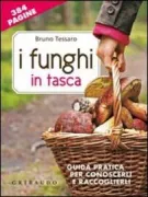 Copertina libro <b>I funghi in tasca</b>
