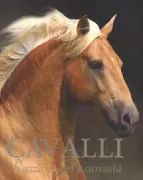 Copertina libro <b>Cavalli<br></b>(titolo originale o altro titolo: <i>Dreaming of horses</i>)