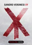 Copertina libro XY digitale