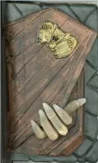 Copertina libro Il libro segreto dei vampiri