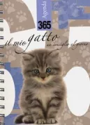 Copertina libro IL MIO GATTO