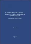 Copertina libro <b>Il diritto processuale civile nell'avvicinamento giuridico internazionale</b>