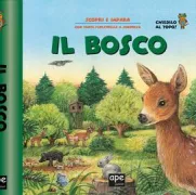 Copertina libro 9788861888364