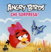 Copertina libro 9788862128452