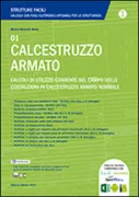 Copertina libro <b>Calcestruzzo armato</b>