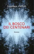 Copertina libro 9788862407465