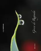Copertina libro 9788862440301