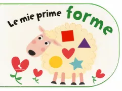 Copertina libro 9788862463799