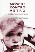 Copertina libro <b>Mosche contro vetro</b>