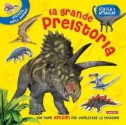 Copertina libro 9788863095357