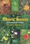 Copertina libro <b>Monte Amiata</b>