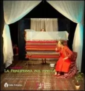 Copertina libro 9788864790602