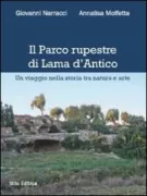 Copertina libro 9788864790671
