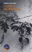 Copertina libro 9788864920641