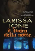 Copertina libro fuoco della notte, Il
