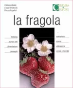 Copertina libro 9788865131435