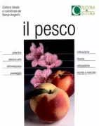 Copertina libro 9788865131503