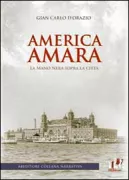Copertina libro <b>America amara</b>