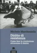 Copertina libro <b>Diritto di resistenza</b>