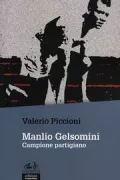 Copertina libro <b>Manlio Gelsomini</b>