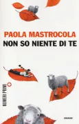Copertina libro <b>Non so niente di te</b>