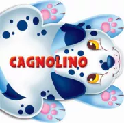 Copertina libro 9788866404644