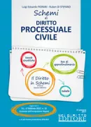 Copertina libro <b>Schemi di diritto processuale civile</b>