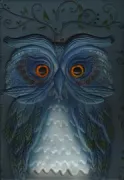 Copertina libro <b>Il libro segreto dei gufi</b>
