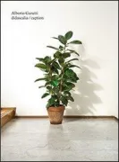 Copertina libro <b>Alberto Garutti</b>