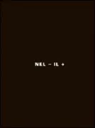 Copertina libro <b>Nel - il +</b>