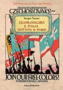Copertina libro <b>Cecoslovacchia e Italia, cent'anni di storia</b>