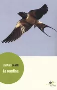 Copertina libro <b>La rondine</b>