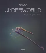 Copertina libro <b>Underworld</b>